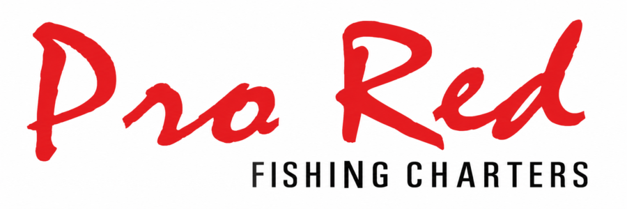 We aim to provide the most professional, and fun, fishing trips in Southern Victoria.