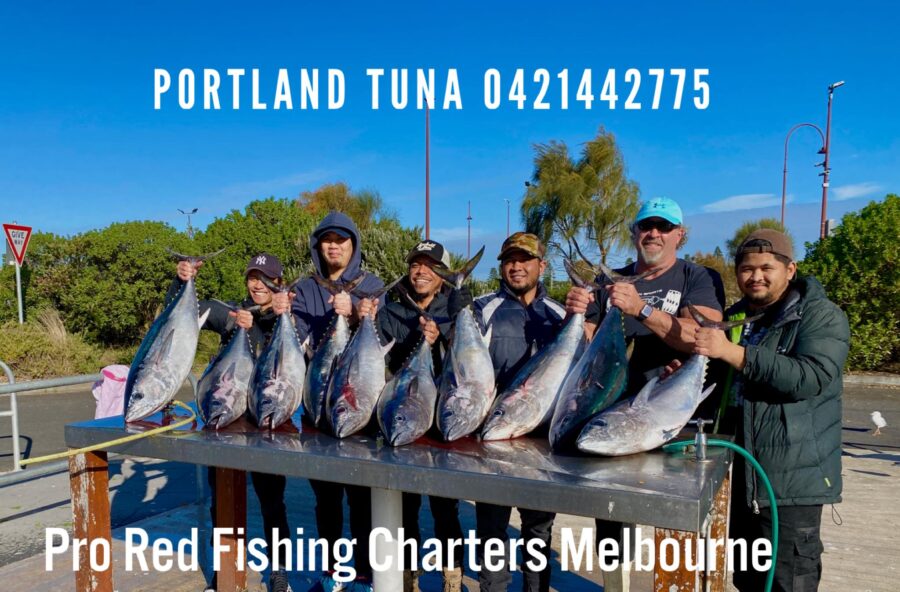 portland tuna 23 - Copy