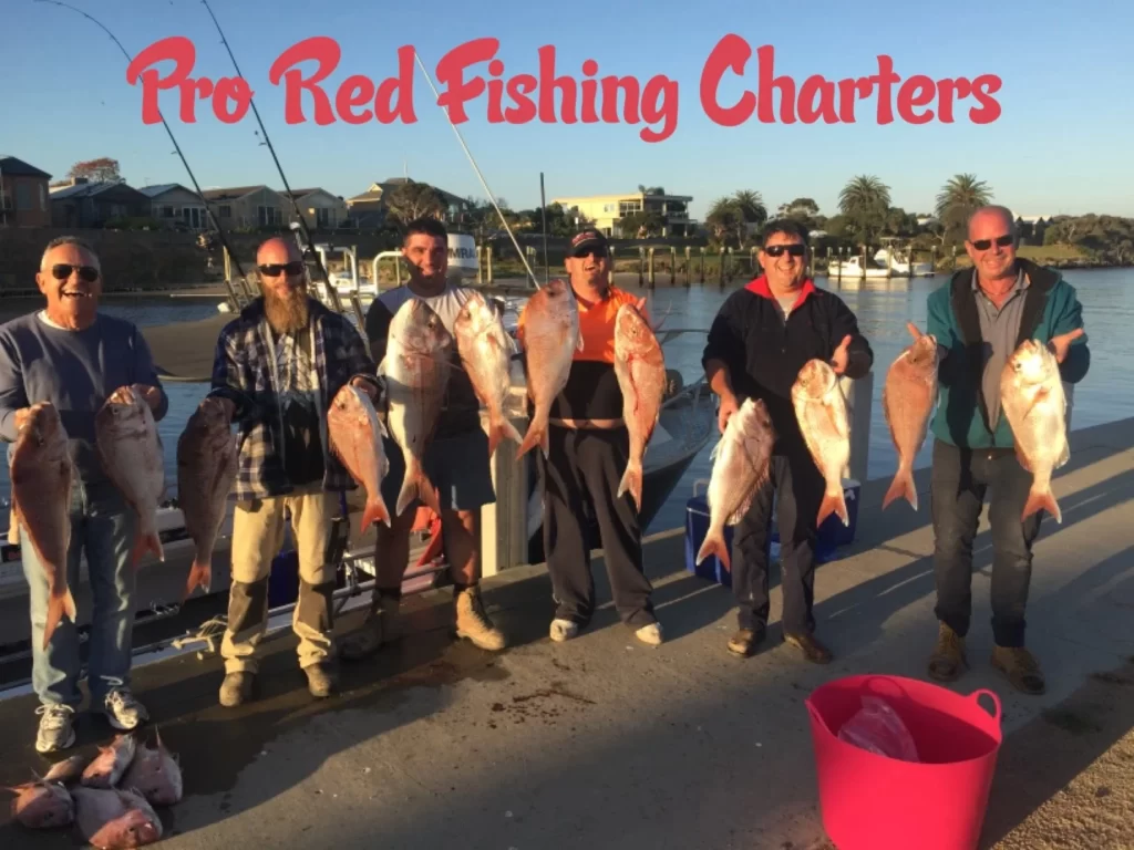 Melbourne SNAPPER FISHING CHARTER