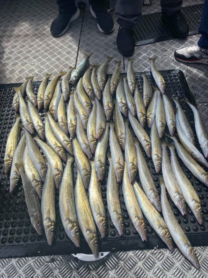 Hastings Fishing Charters