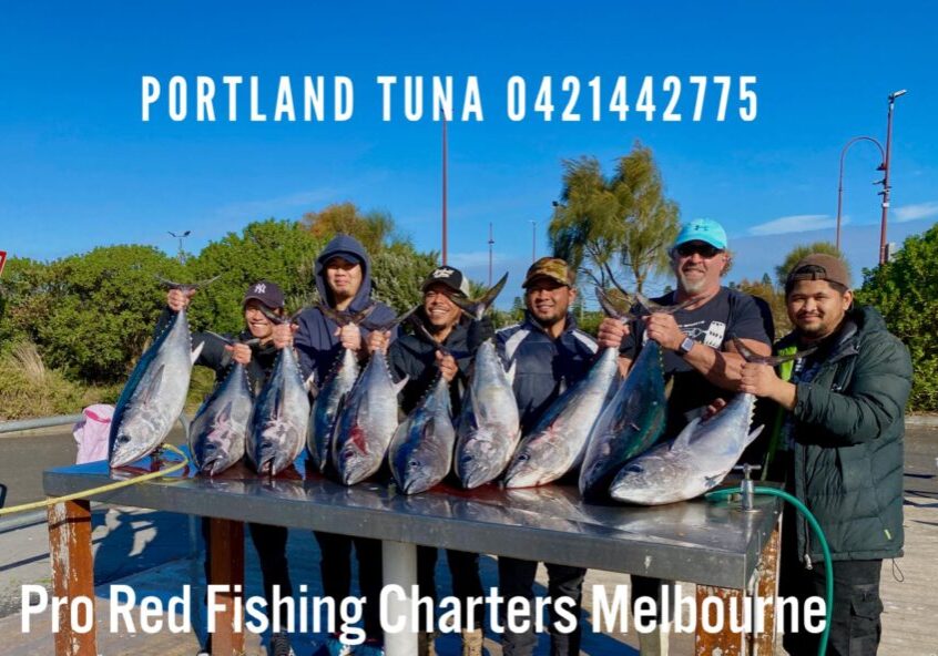 portland tuna 23 - Copy